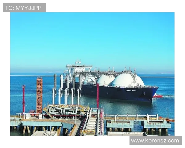 深度分析LNG整体压制策略及其在市场中的应用与影响