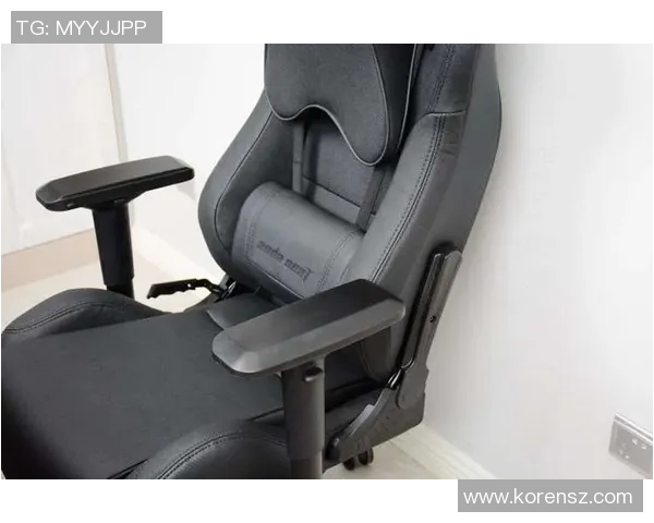 提升游戏体验王者荣耀装备选购必备电竞椅推荐与评测指南 提升游戏体验王者荣耀装备选购必备电竞椅推荐与评测指南